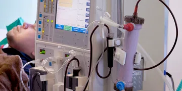 Diagnóstico precoces da doença renal crônica estão em risco