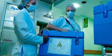 Recusa de Doação de Órgãos no Brasil Chega a 45%, Revela Estudo