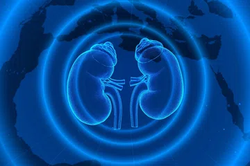 Doença renal crônica: estudo revela subdiagnóstico alarmante no Brasil